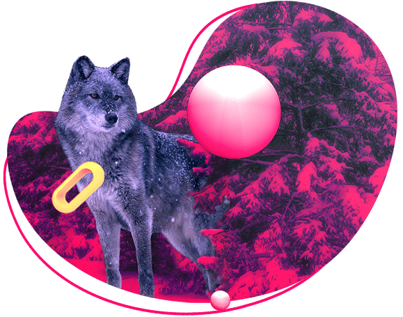 Профессиональное создание веб-сайтов и сервисов для Вашего бизнеса.